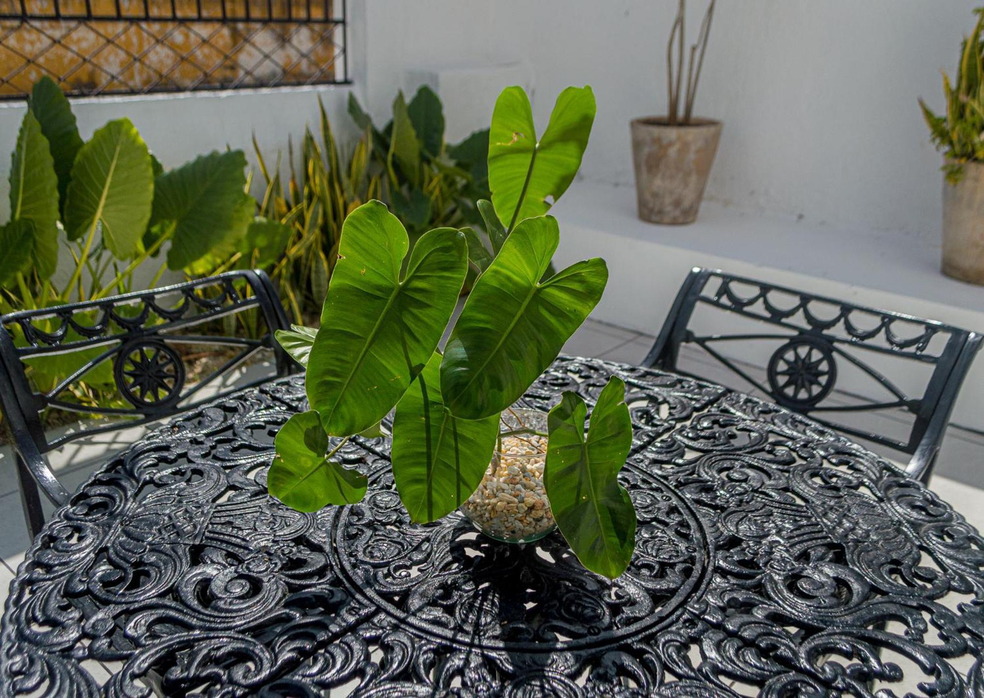Hotel Boutique Casa Xaan Valladolid  Bagian luar foto